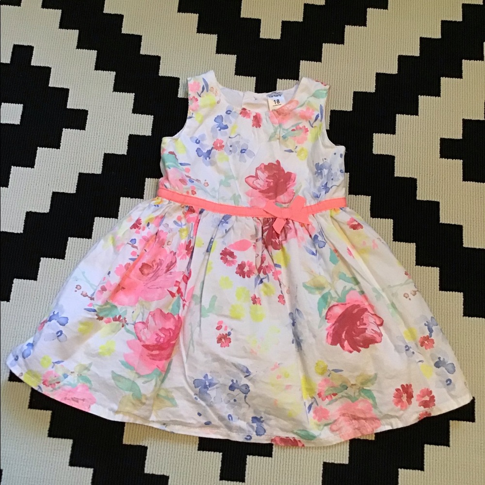 Girls Floral Carter’s Dress